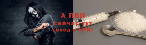 твердый Белая Холуница