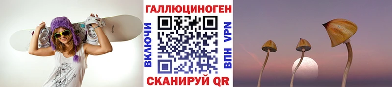 OMG   Микунь  Псилоцибиновые грибы прущие грибы 